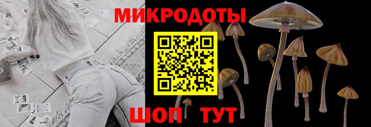 закладка  Галлюциногенные грибы мухоморы  Вход с VPN  Кольчугино 